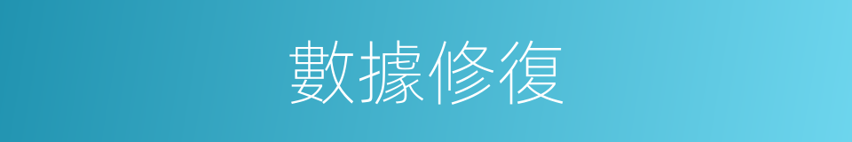 數據修復的同義詞