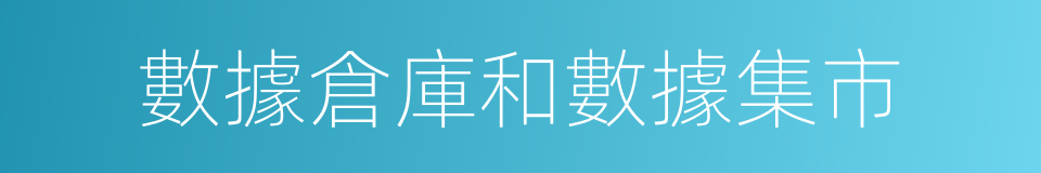 數據倉庫和數據集市的同義詞