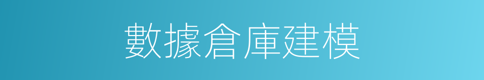 數據倉庫建模的同義詞