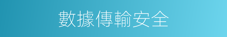 數據傳輸安全的同義詞
