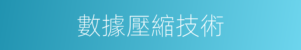 數據壓縮技術的同義詞