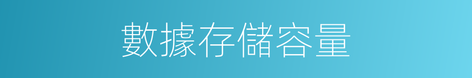 數據存儲容量的同義詞