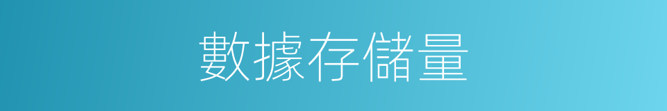數據存儲量的同義詞