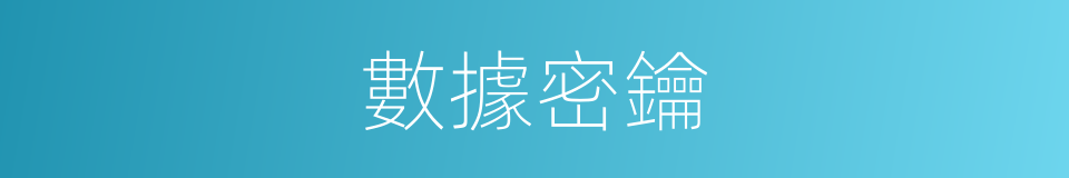 數據密鑰的同義詞