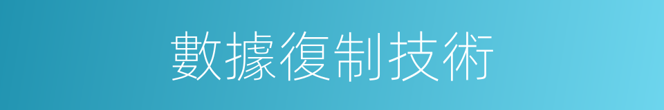 數據復制技術的同義詞