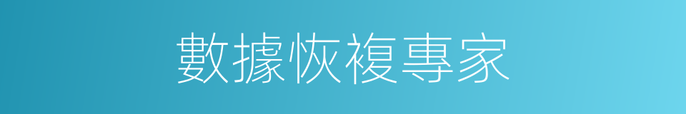 數據恢複專家的同義詞