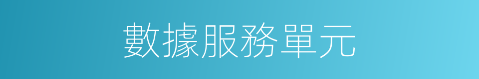 數據服務單元的同義詞