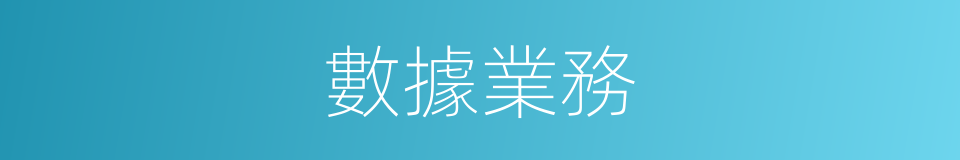 數據業務的同義詞