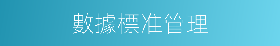 數據標准管理的同義詞