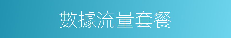 數據流量套餐的同義詞