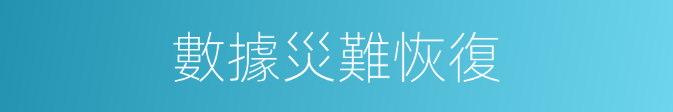 數據災難恢復的同義詞