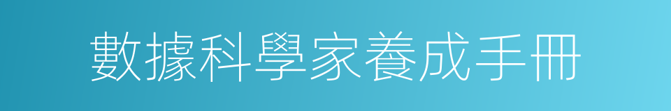 數據科學家養成手冊的同義詞