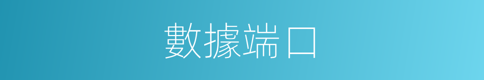 數據端口的同義詞