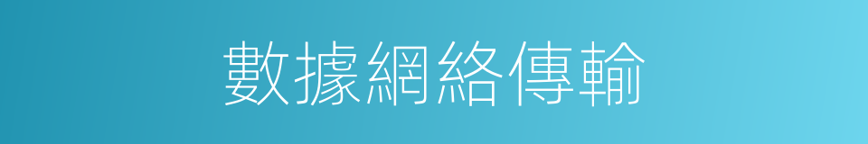 數據網絡傳輸的同義詞