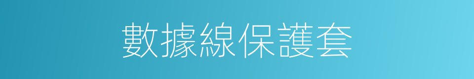 數據線保護套的同義詞