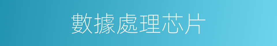 數據處理芯片的同義詞