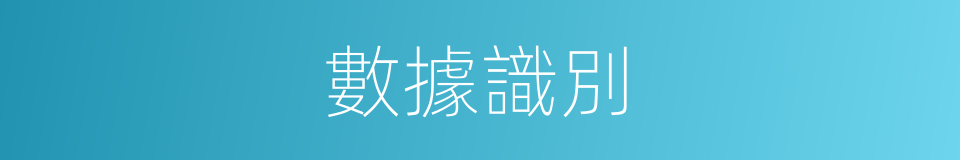 數據識別的同義詞