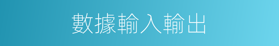 數據輸入輸出的同義詞