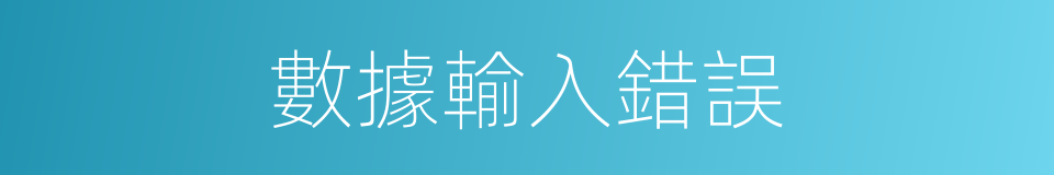 數據輸入錯誤的同義詞