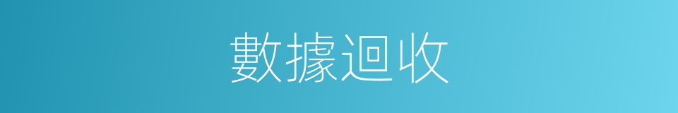 數據迴收的同義詞