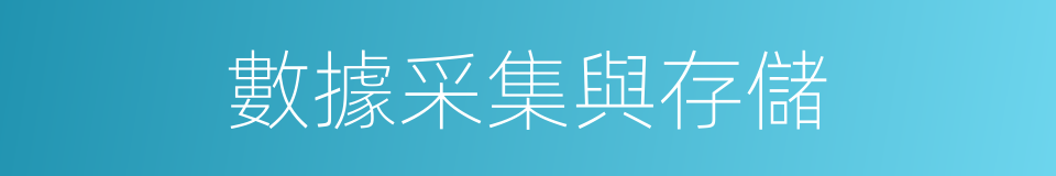 數據采集與存儲的同義詞