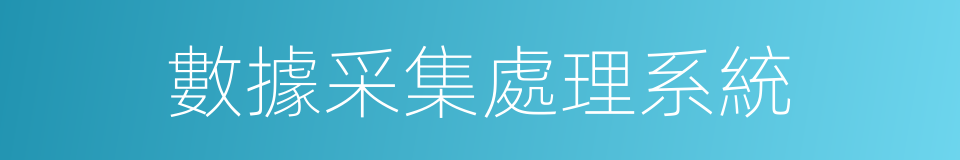數據采集處理系統的同義詞