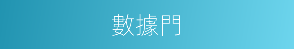 數據門的同義詞