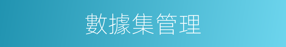 數據集管理的同義詞