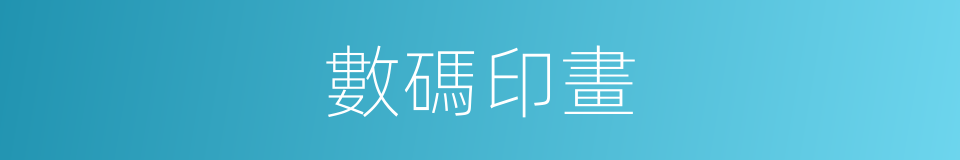 數碼印畫的同義詞