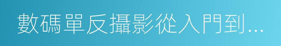 數碼單反攝影從入門到精通的同義詞