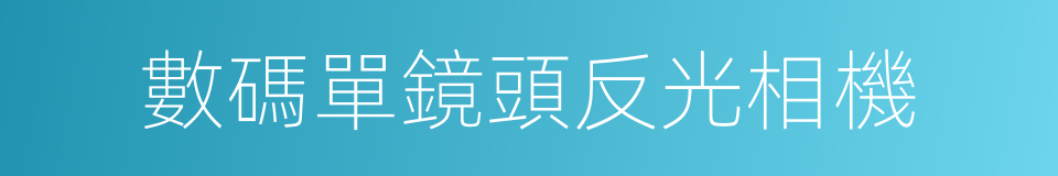 數碼單鏡頭反光相機的同義詞