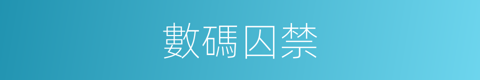 數碼囚禁的意思