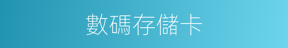 數碼存儲卡的同義詞