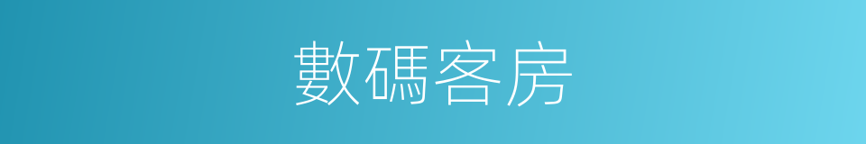 數碼客房的同義詞