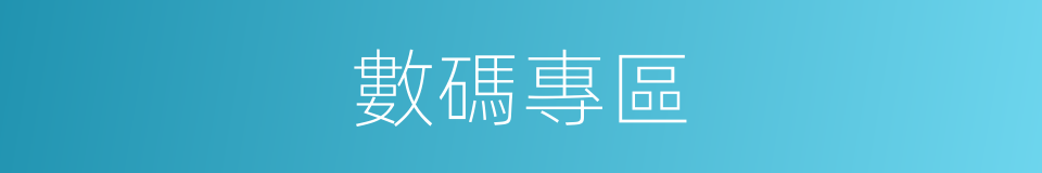 數碼專區的同義詞