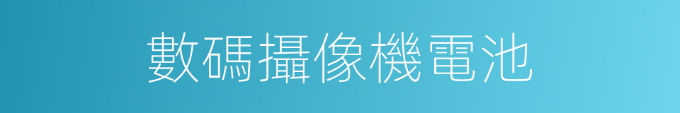 數碼攝像機電池的同義詞