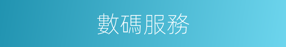 數碼服務的同義詞