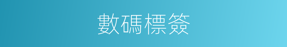 數碼標簽的同義詞
