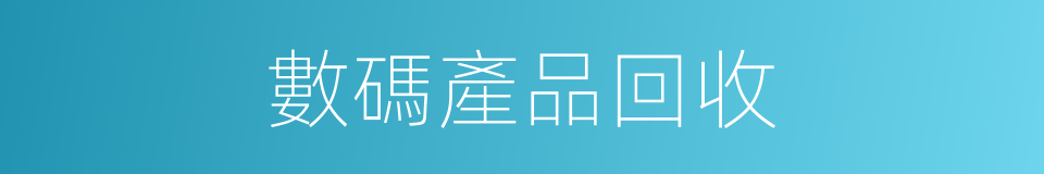 數碼產品回收的同義詞