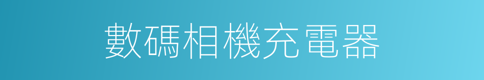 數碼相機充電器的同義詞