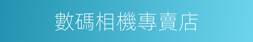 數碼相機專賣店的同義詞
