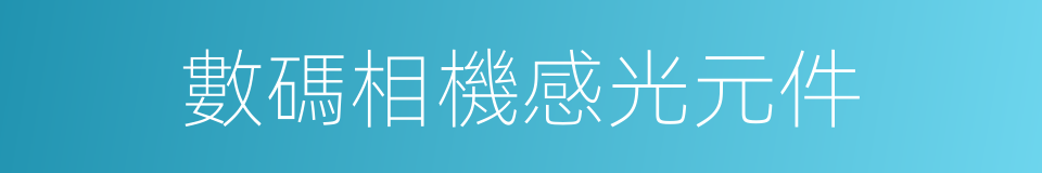 數碼相機感光元件的同義詞