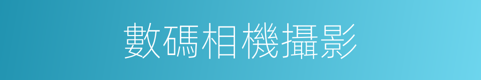 數碼相機攝影的同義詞