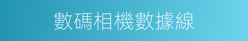 數碼相機數據線的同義詞
