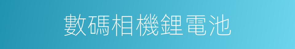 數碼相機鋰電池的同義詞