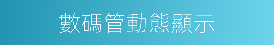 數碼管動態顯示的同義詞