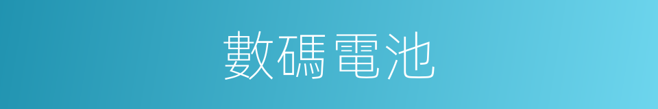 數碼電池的同義詞