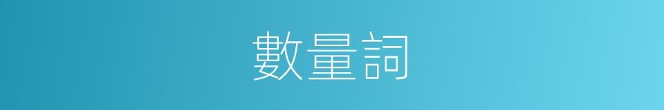 數量詞的意思