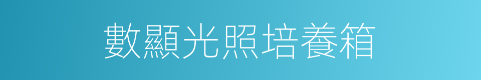 數顯光照培養箱的同義詞