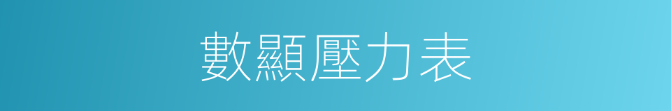 數顯壓力表的同義詞